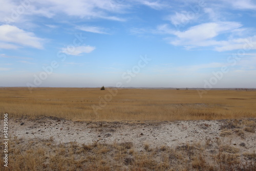 landscape in the desert