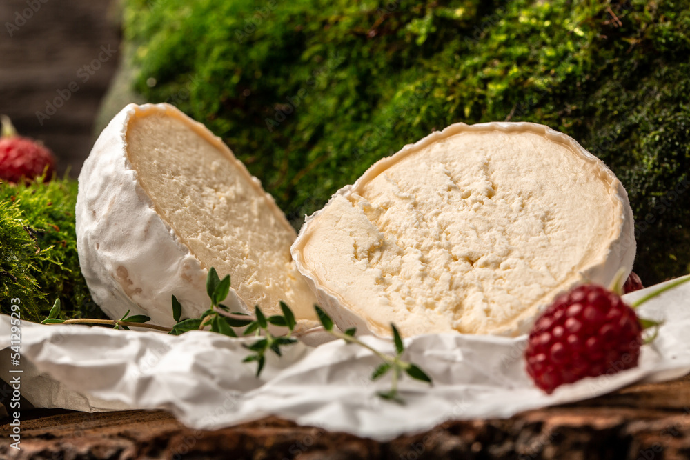 Soft Cheese, goat cheeses crottin de chavignol, French cheese Soft Cheese, goat cheeses crottin de chavignol, French cheese