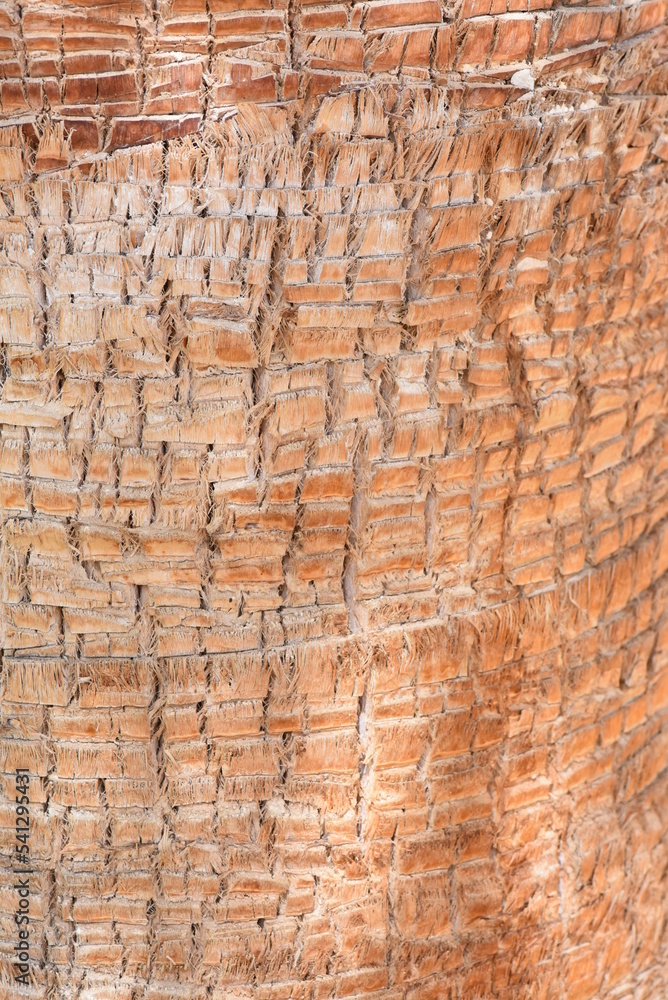 texture texture