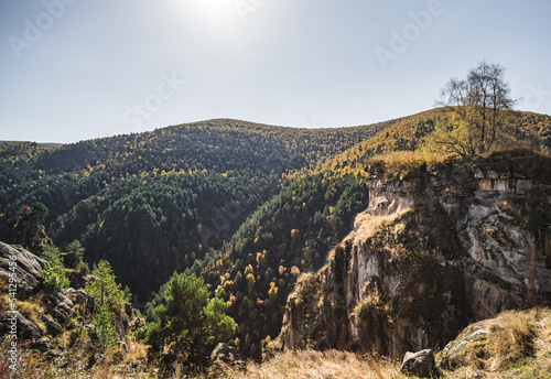 Mountains and hills overgrown with dense forest in autumn  rocky cliffs in the mountains  on a sunny day in the Caucasus