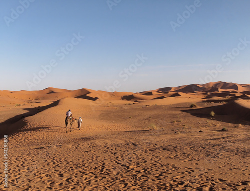 Serene view of beautiful Sand dunes of the Sahara desert, Morocco 