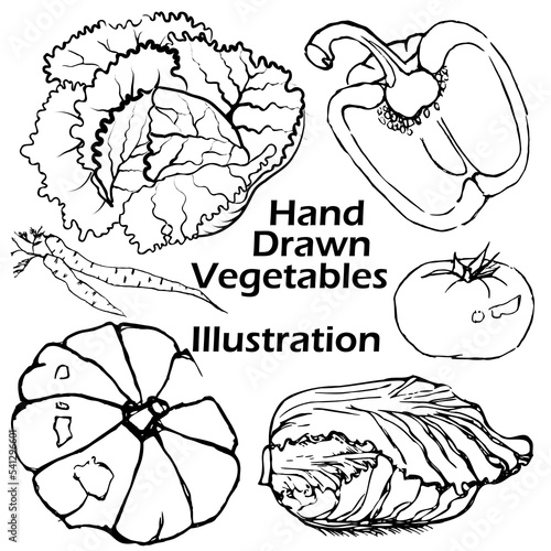 Hand drawn vegetables vector illustration. Black and white vegetables illustration. Autumn harvest.