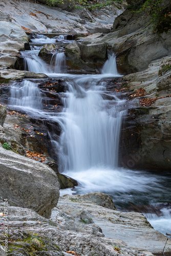 selva de irati en otoño navarra