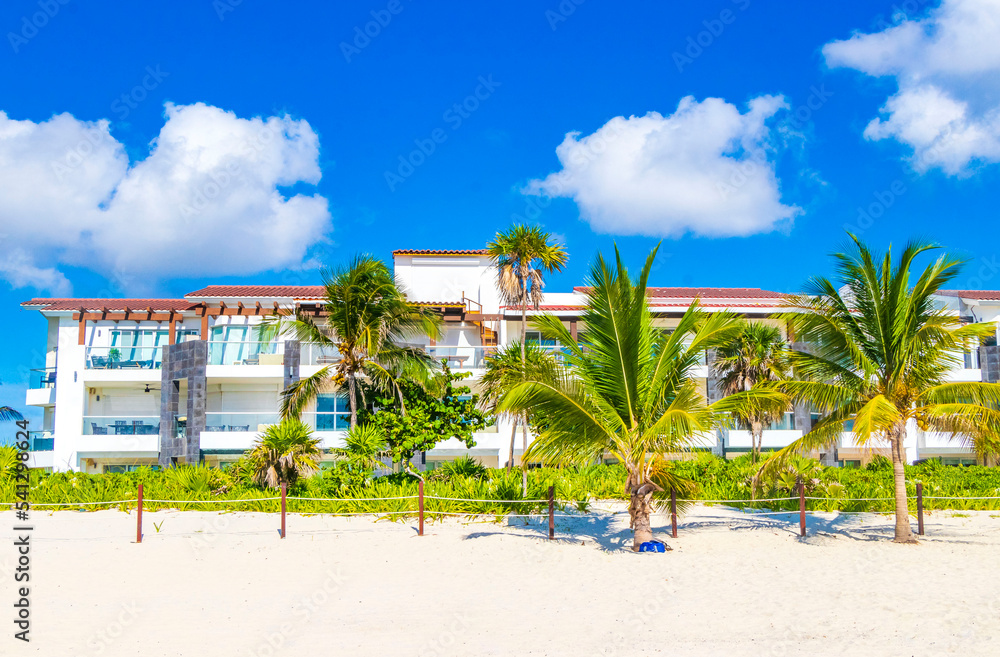 Palms parasols sun loungers beach resort Playa del Carmen Mexico. Palms parasols sun loungers beach resort Playa del Carmen Mexico.