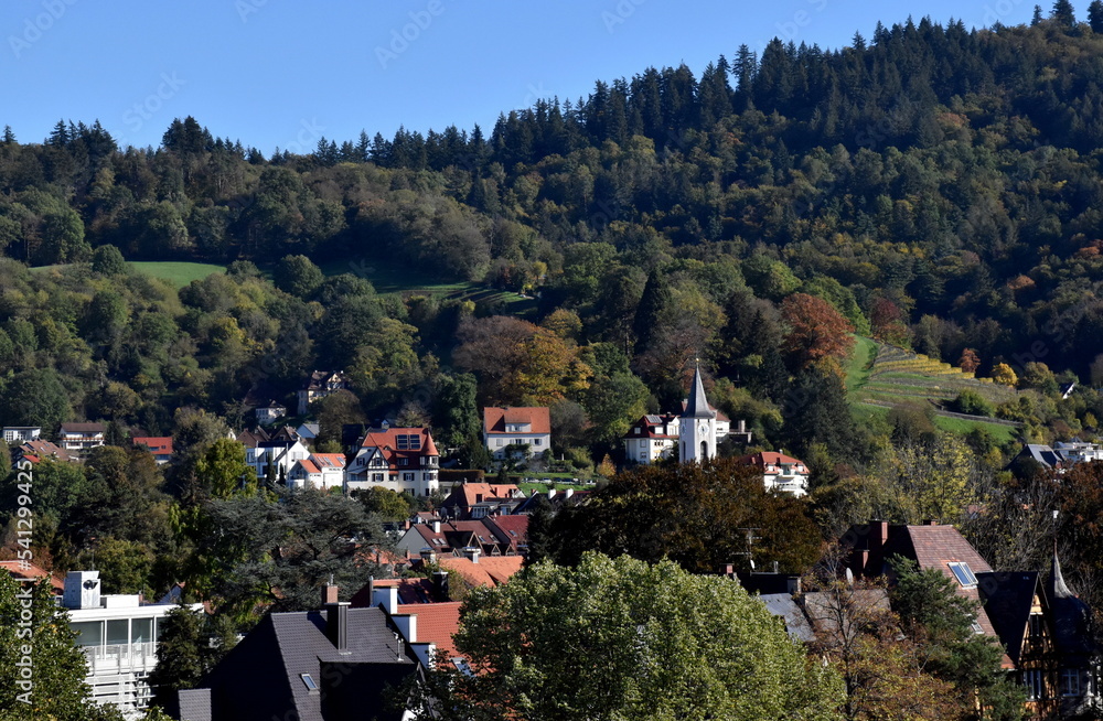 Blick auf Freiburg-Herdern im Herbst