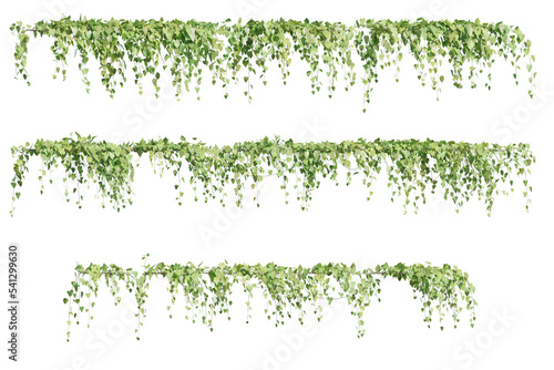 Картината върху платно set of green creepers borders, 3d rendered