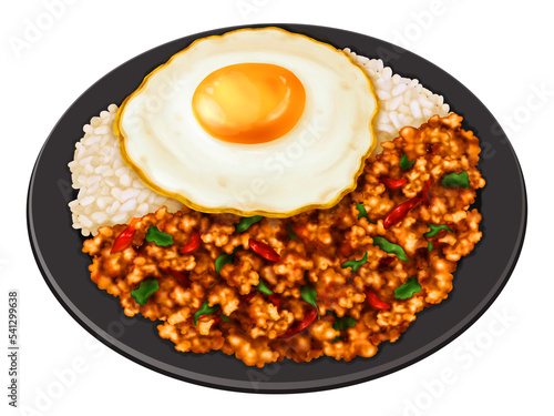 Spicy thai holy basil chicken with egg over rice dish recipes illustration image. (Pad Kra Pao, Kra Pow Kai, Kra Pao Moo Sap)