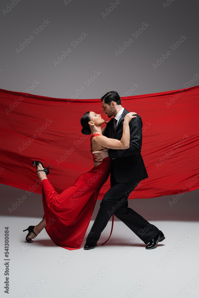 Side view of ballroom dancers performing tango on grey background with red fabric - obrazy, fototapety, plakaty 