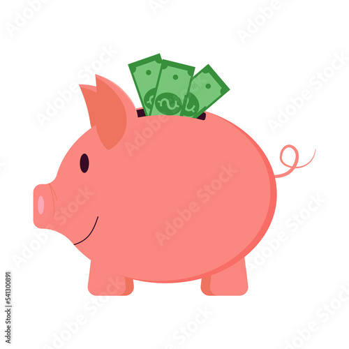 Piggy bank with money, Accumulation of funds for the formation of financial security