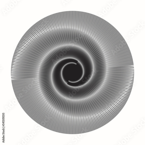 Circle with rotating optical illusion as artistic background, logo or icon.