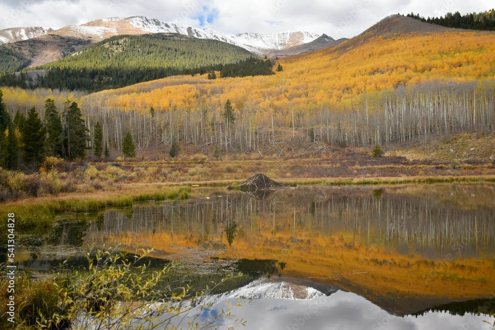 Autumn reflection on a mountain pond