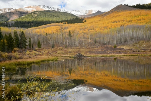 Autumn reflection on a mountain pond