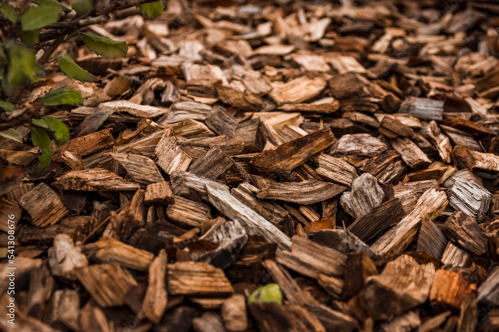 hundreds of wood chips create a very fascinating texture hundreds of wood chips create a very fascinating texture