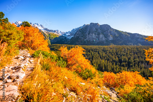 Hiking Strbske lake to popradske lake , very popular hiking destination in High Tatras National park, Slovakia. Autumn color nature . photo