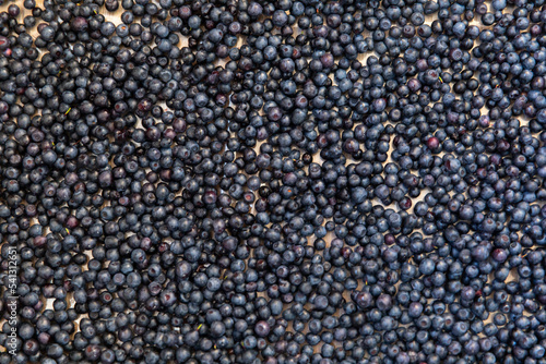 Blueberries to dry in a layer in the open air.