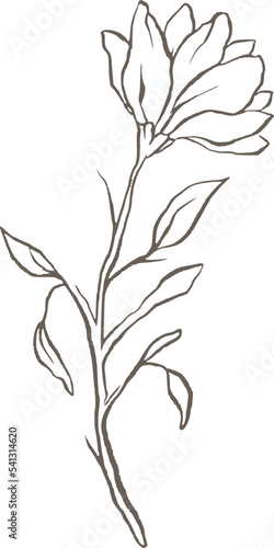 Magnolia flower line vector logo elegant wedding delicate floral nature wildflower 
