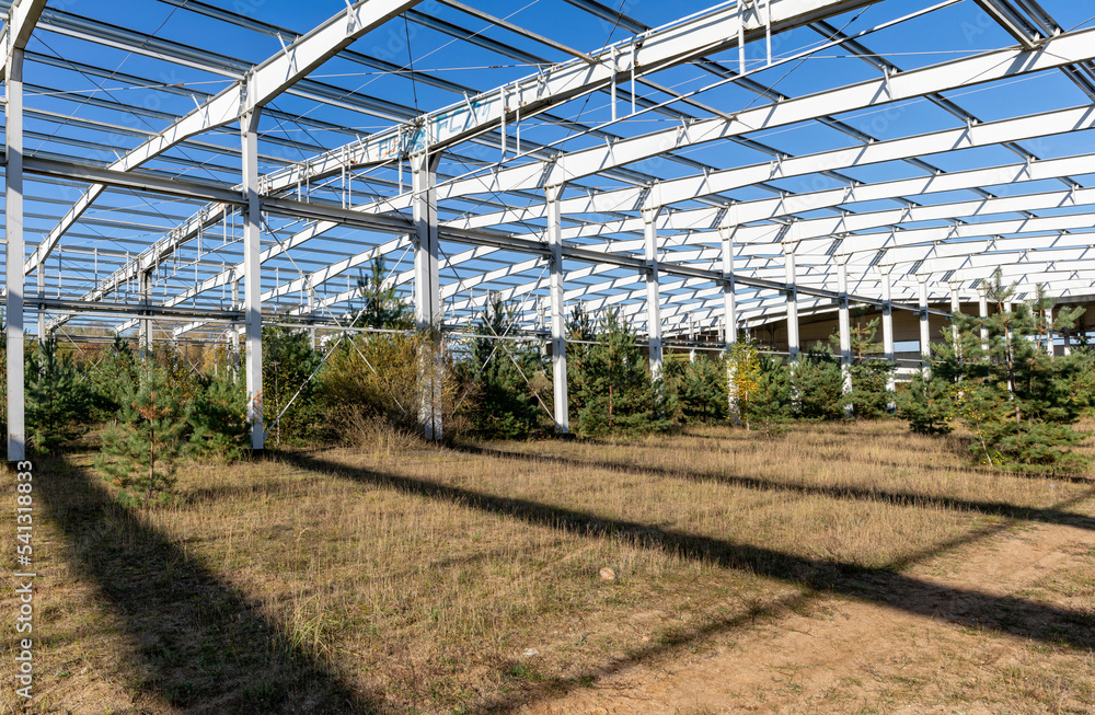 A new large production hall covered with large conifers. A clear sunny day.