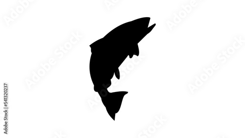 Salmonidae silhouette