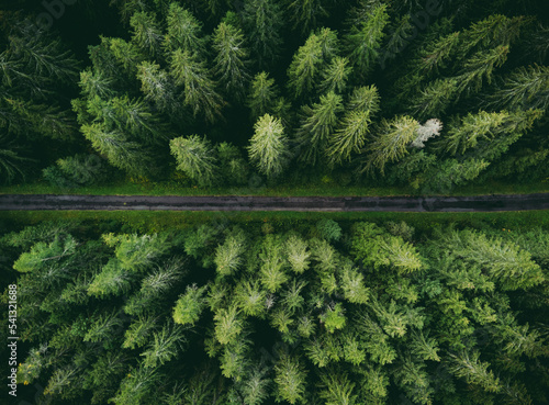 Wide angle aerial photo by drone (top view) of amazing green pine forest with curved road (way). Colorful and saturated image of path in nature from above.