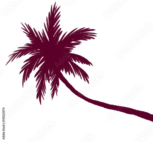 Coconut palm tree silhouette tropical sunset paradise doodle illustration photo