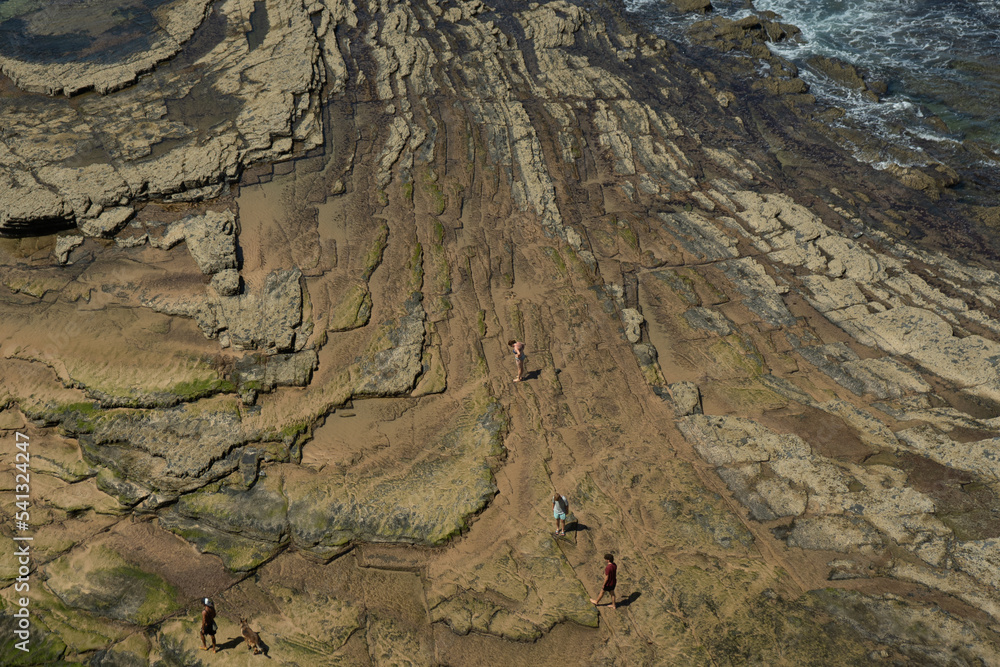 Obraz premium texture coastline with stones