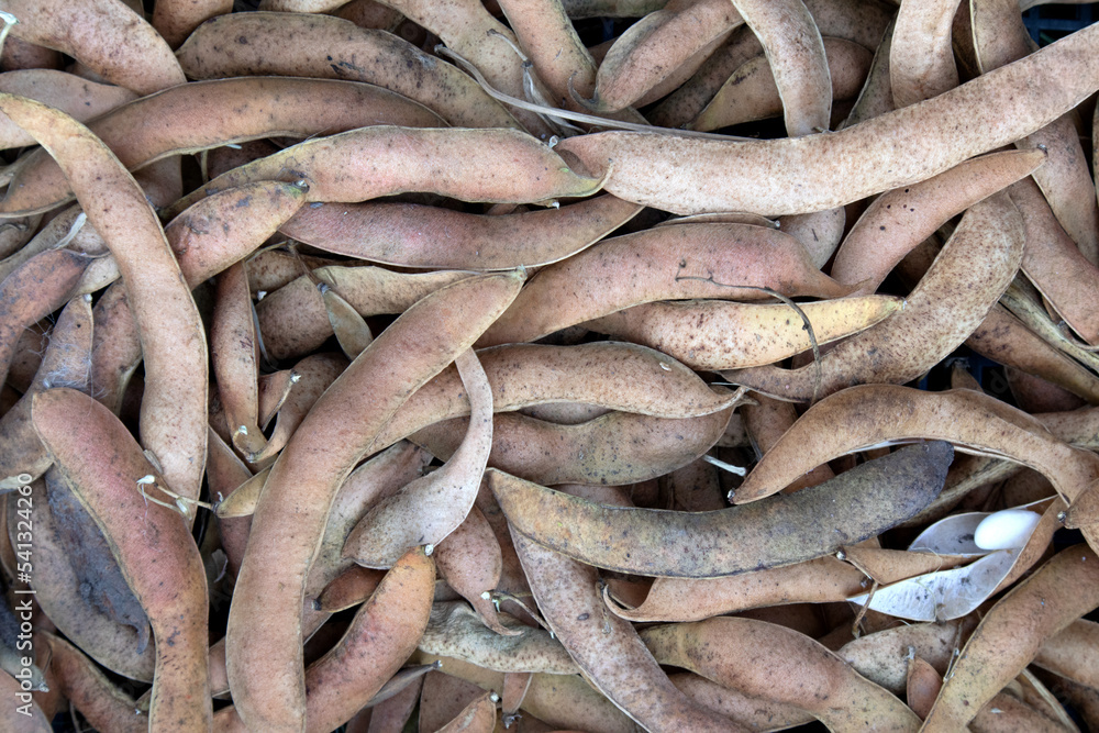 Dried white bean pods as nice textured background. Ecological product, concept of good harvest Dried white bean pods as nice textured background. Ecological product, concept of good harvest