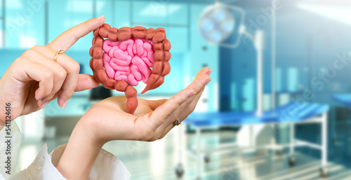 Bild auf Leinwand Health of intestine tract