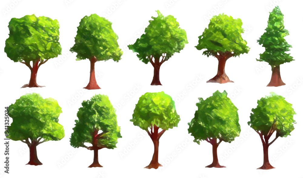 Fototapeta premium collection of trees watercolor style