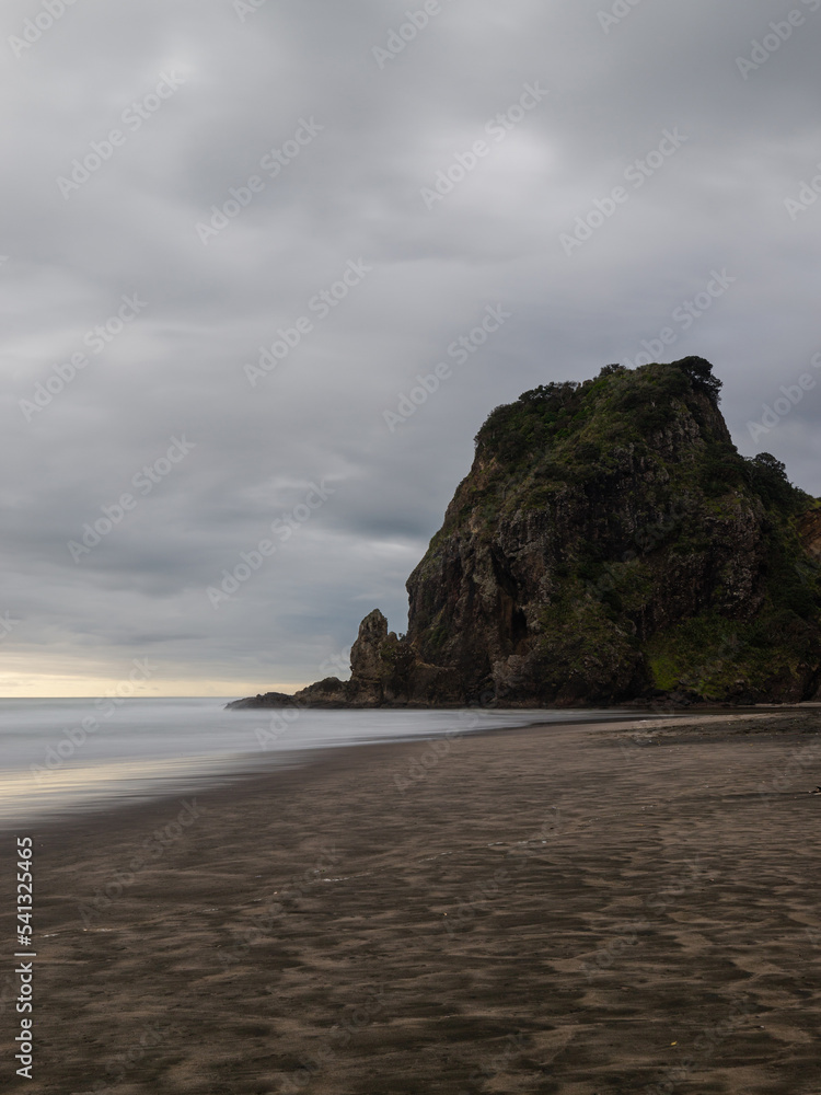 Coastline view of Piha Beach with Lion Rock, Auckland, New Zealand.