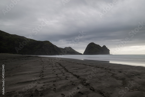 Empty coastline view of black sand beach of Piha, Auckland, New Zealand.