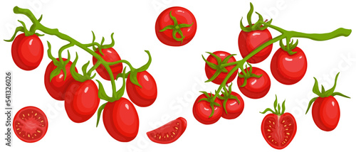 Set of ripe cherry tomato fruits and slices of juicy vegetable.Vector graphics.
