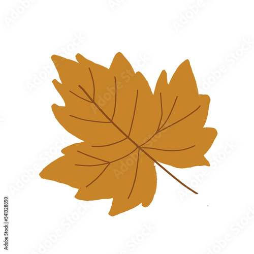 Hand drawing maple leaves in autumn PNG  © Wita Pixs