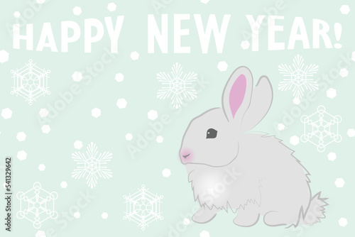 Bunny  snowflakes and text Happy New Year  vector illustration
