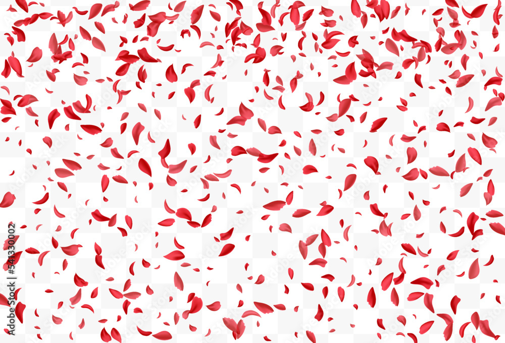 Delicate Cherry Beauty Vector Transparent Delicate Cherry Beauty Vector Transparent