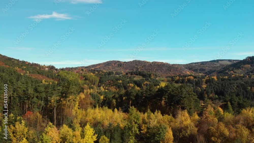 The camera flies forward above an autumn forest with yellow, red and evergreen trees. The camera flies forward above an autumn forest with yellow, red and evergreen trees.