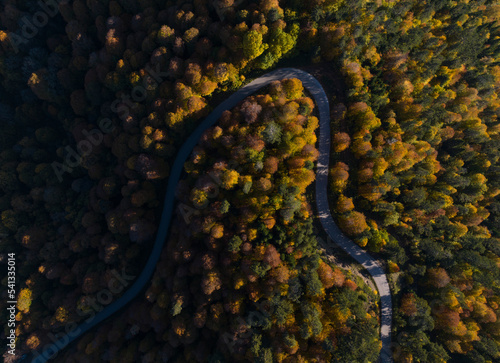 Yedigoller National Park Autumn Season Drone Photo, Bolu Turkey