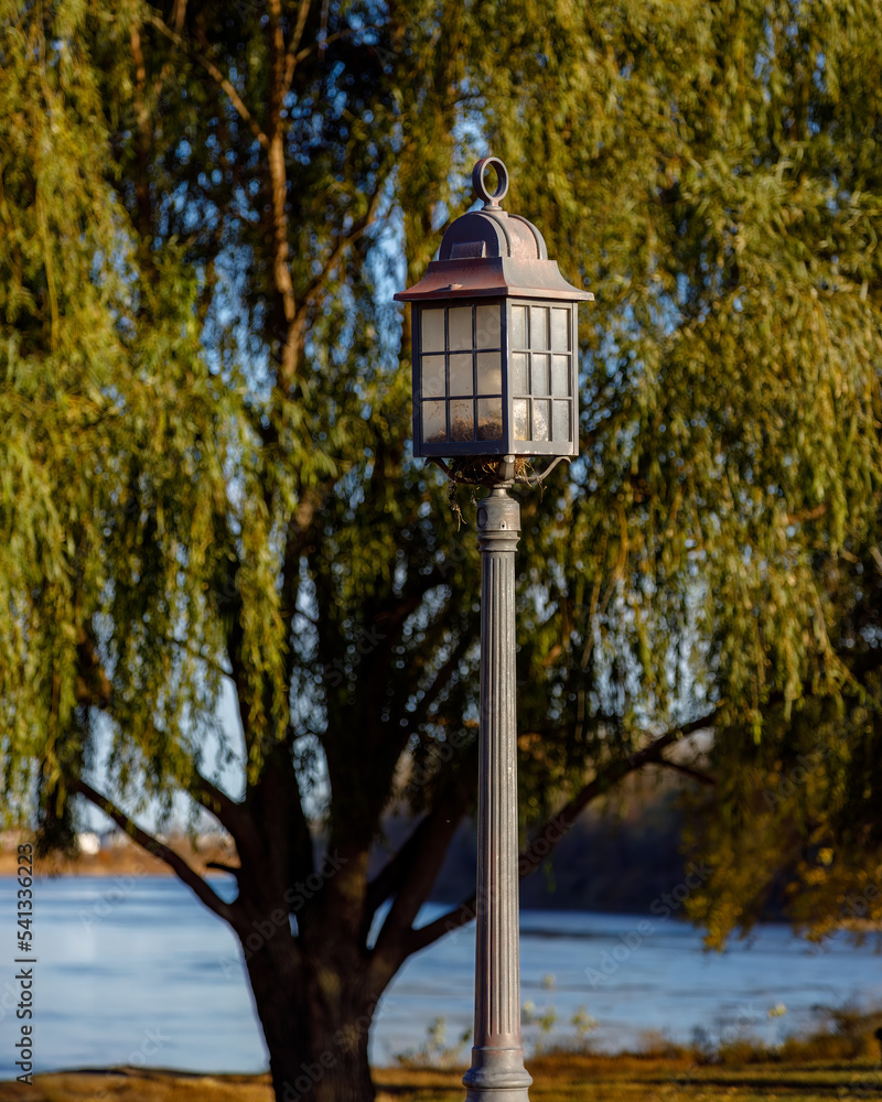 lamp near the Missouri river with nest growing in it