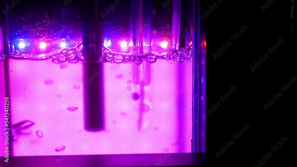 Algae science reactor, research modern laboratory bioreactor multi ...