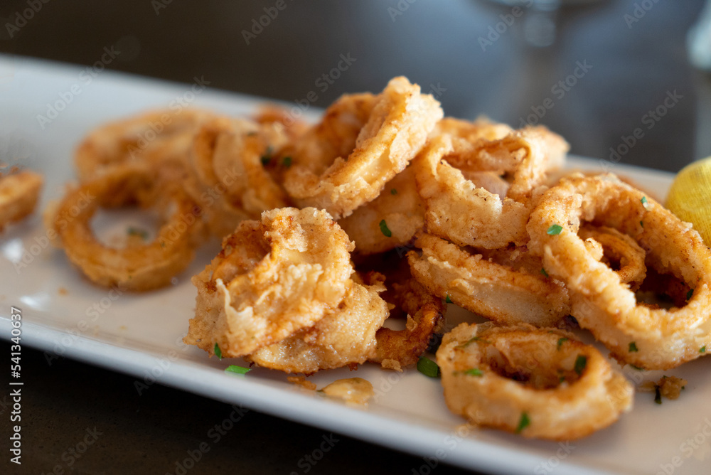 Fried calamari on white plate Fried calamari on white plate