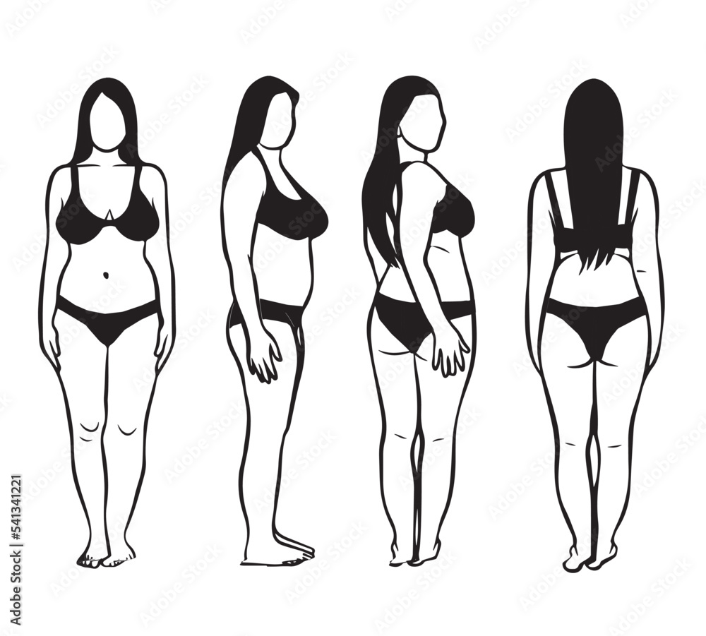Illustration of curvy woman wearing underwear in front, side and back poses. Vector drawing isolated on white background. Illustration of curvy woman wearing underwear in front, side and back poses. Vector drawing isolated on white background.