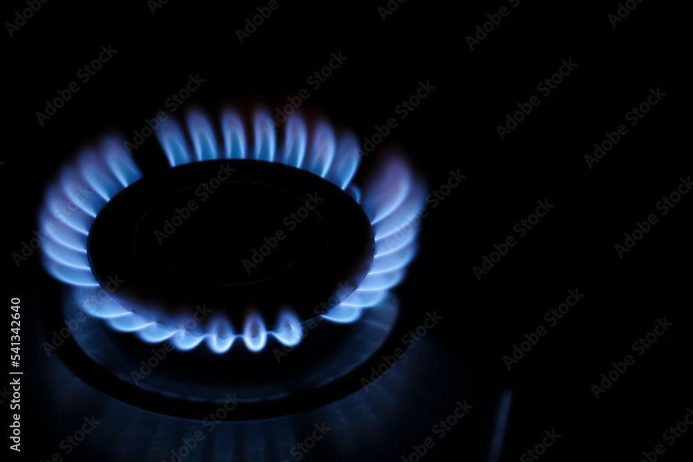 Gas cooktop with burning flame in darkness, closeup. Space for text Gas cooktop with burning flame in darkness, closeup. Space for text