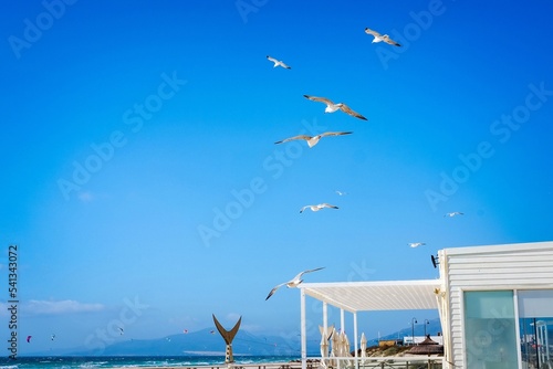 Seagulls fly in blue skies against backdrop of Atlantic ocean