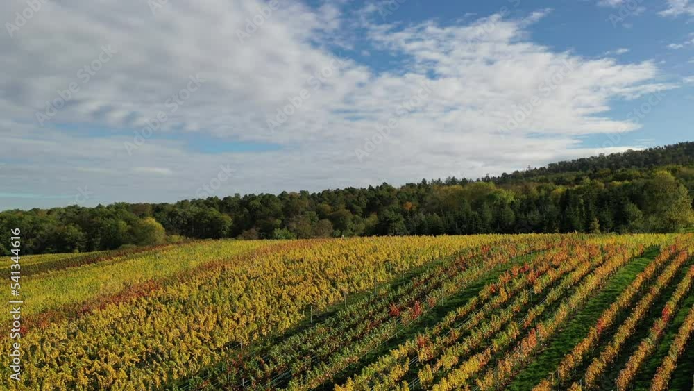 Aerial view of a southern german vineyard, agricultural areas, meadows and forests in beautiful autumn colors, Swabia - Baden-Württemberg Aerial view of a southern german vineyard, agricultural areas, meadows and forests in beautiful autumn colors, Swabia - Baden-Württemberg