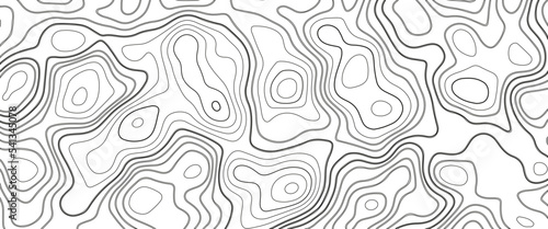 Abstract topographic map background. Abstract topographic map background. Imitation of a geographical map. Geographic map conceptual design. Elegant background for presentations.