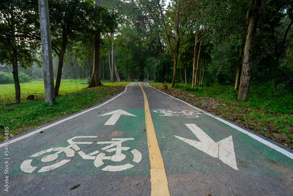Obraz premium Bike lane along in National Park 