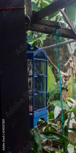 blue bird cage hanging on the terrace of the house