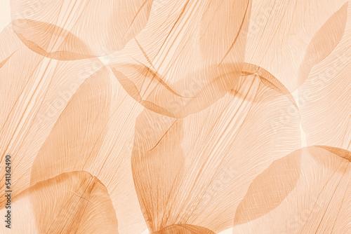 Nature pattern of dry petals, transparent leaves with natural texture as natural background or wallpaper for screen. Macro texture, skeleton flower petal. Monochrome aesthetic beauty of nature