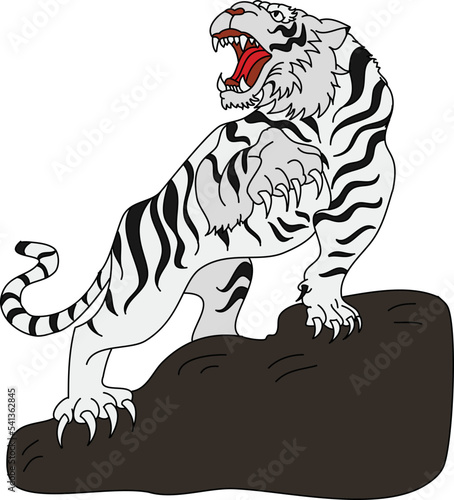 Tiger and Dragon fighting vector.Japanese Dragon and tiger tattoo.