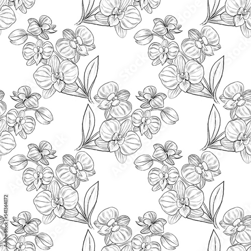 Illustration seamless pattern drawing of black doodle line orchid blooming, random branches on white background for clothing fabric textile, wallpaper, paper wrapping © Arunee