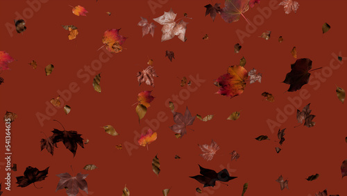 Autumn themed Wallpaper, with Leaves against Deep Orange Color. Holiday Banner with copy-space.